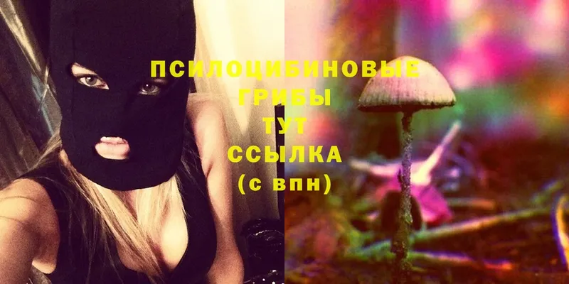 Галлюциногенные грибы Magic Shrooms  закладка  Моздок 